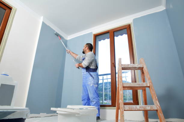 Best Mold Remediation for Vacation Homes  in Cokato, MN