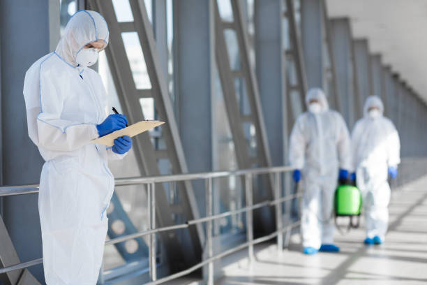 Best Black Mold Removal  in Cokato, MN