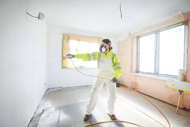 Best Mold Remediation for Rental Properties  in Cokato, MN
