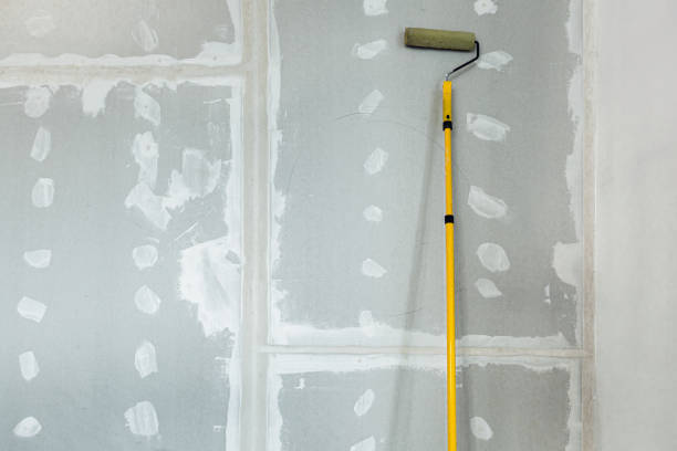 Best Forensic Mold Investigation  in Cokato, MN