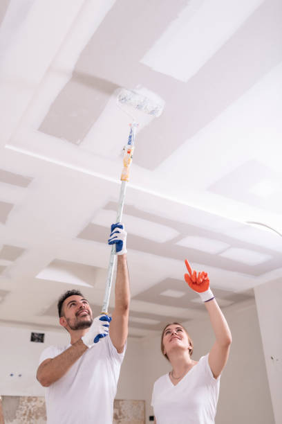 Best Commercial Mold Inspection  in Cokato, MN