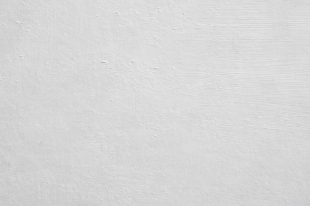 Reliable Cokato, MN Mold Removal Solutions