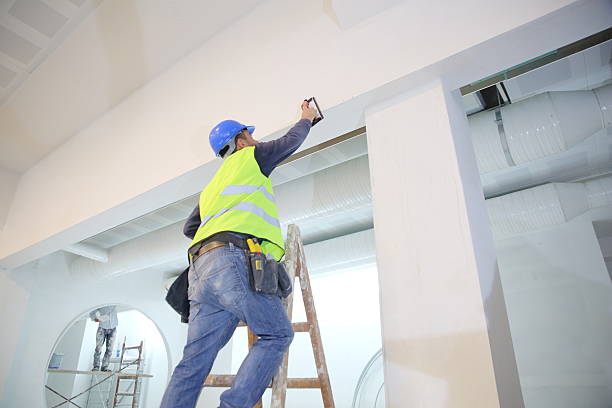 Best Mold Damage Restoration  in Cokato, MN