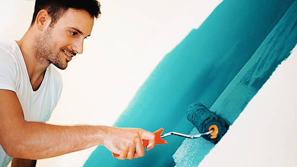 Best Mold Odor Removal Services  in Cokato, MN