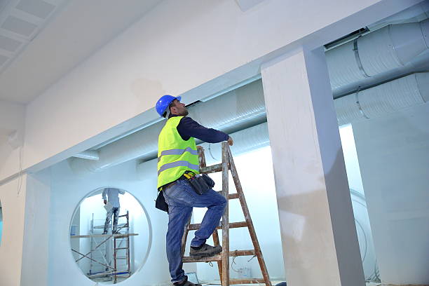  Cokato, MN Mold Removal Pros