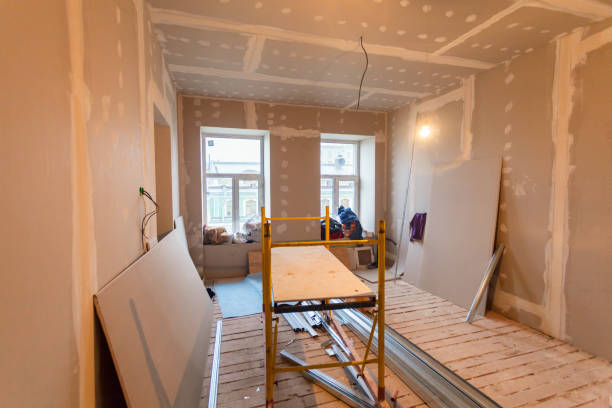 Best Real Estate Mold Inspection  in Cokato, MN