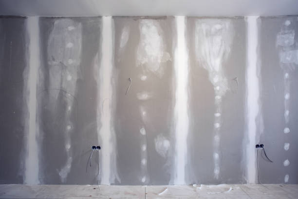 Best Environmental Consulting for Mold Prevention  in Cokato, MN